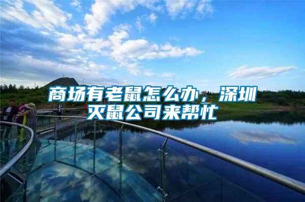 商場(chǎng)有老鼠怎么辦，深圳滅鼠公司來幫忙