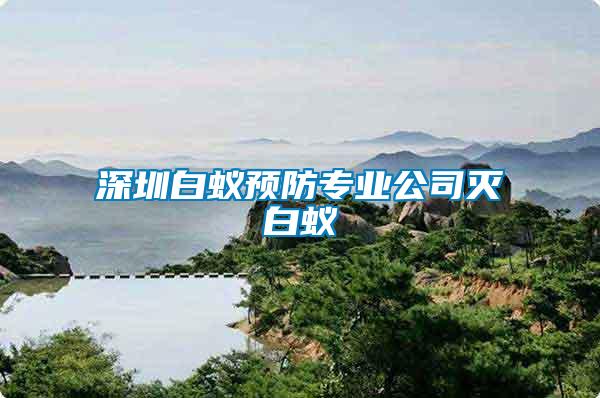 深圳白蟻預(yù)防專(zhuān)業(yè)公司滅白蟻