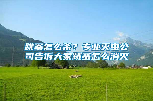 跳蚤怎么殺？專業滅蟲公司告訴大家跳蚤怎么消滅