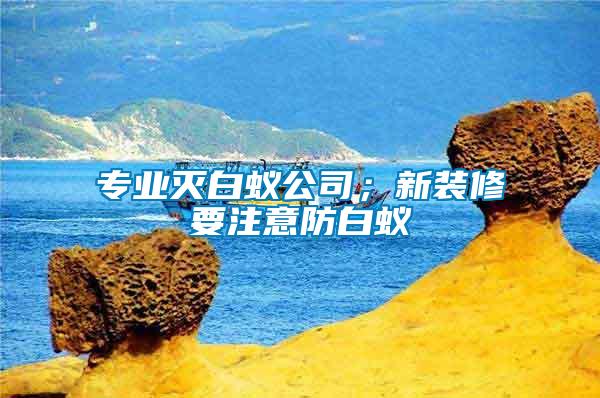 專業(yè)滅白蟻公司；新裝修要注意防白蟻