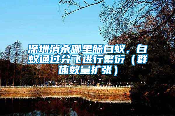深圳消殺哪里脎白蟻，白蟻通過(guò)分飛進(jìn)行繁衍（群體數(shù)量擴(kuò)張）