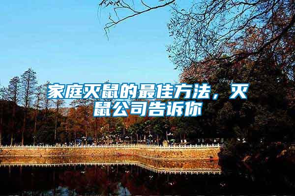 家庭滅鼠的最佳方法，滅鼠公司告訴你