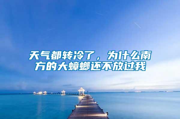 天氣都轉冷了，為什么南方的大蟑螂還不放過我