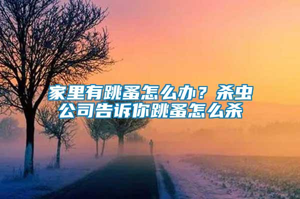 家里有跳蚤怎么辦？殺蟲公司告訴你跳蚤怎么殺