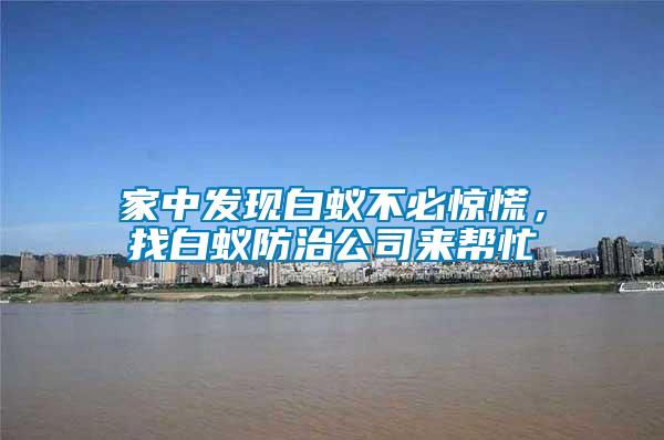 家中發(fā)現(xiàn)白蟻不必驚慌，找白蟻防治公司來(lái)幫忙