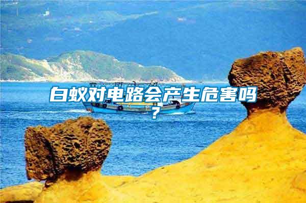 白蟻對電路會產生危害嗎？