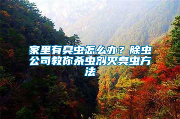 家里有臭蟲(chóng)怎么辦？除蟲(chóng)公司教你殺蟲(chóng)劑滅臭蟲(chóng)方法