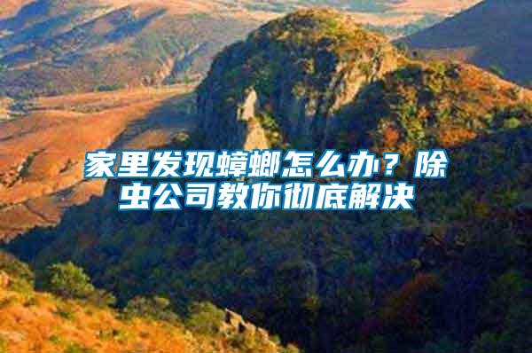 家里發現蟑螂怎么辦？除蟲公司教你徹底解決
