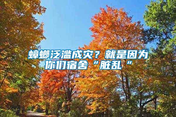 蟑螂泛濫成災？就是因為你們宿舍“臟亂“