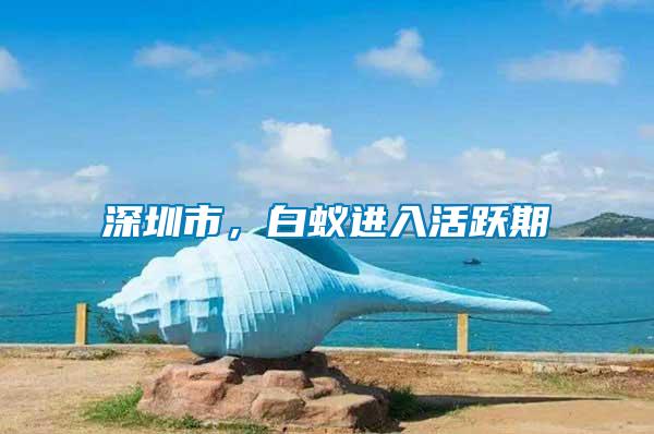 深圳市，白蟻進(jìn)入活躍期