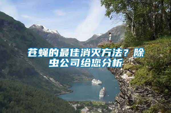 蒼蠅的最佳消滅方法？除蟲(chóng)公司給您分析