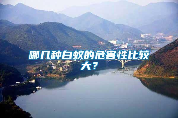 哪幾種白蟻的危害性比較大？