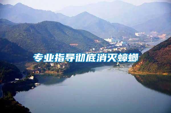 專業(yè)指導徹底消滅蟑螂
