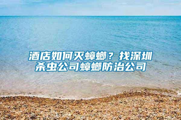 酒店如何滅蟑螂？找深圳殺蟲公司蟑螂防治公司