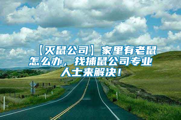 【滅鼠公司】家里有老鼠怎么辦，找捕鼠公司專業人士來解決！