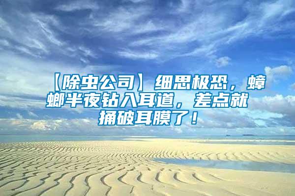【除蟲公司】細(xì)思極恐，蟑螂半夜鉆入耳道，差點(diǎn)就捅破耳膜了！