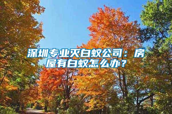 深圳專業滅白蟻公司：房屋有白蟻怎么辦？