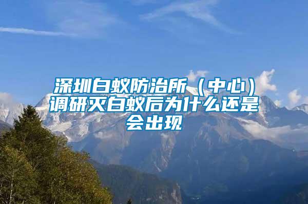 深圳白蟻防治所（中心）調研滅白蟻后為什么還是會出現(xiàn)