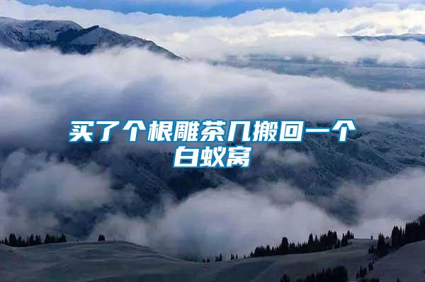 買(mǎi)了個(gè)根雕茶幾搬回一個(gè)白蟻窩