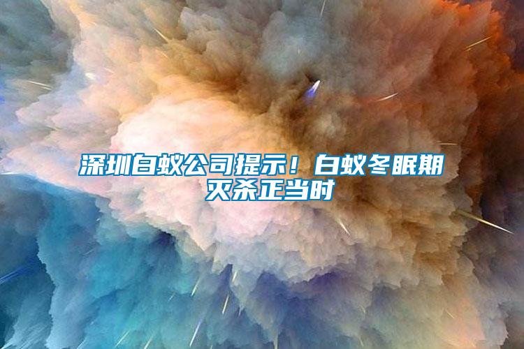 深圳白蟻公司提示！白蟻冬眠期 滅殺正當(dāng)時