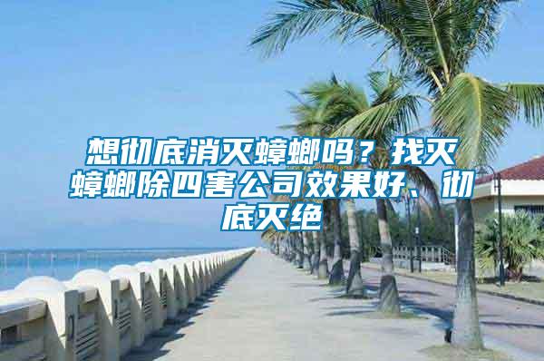 想徹底消滅蟑螂嗎？找滅蟑螂除四害公司效果好、徹底滅絕