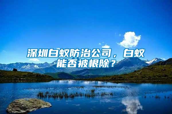 深圳白蟻防治公司，白蟻能否被根除？