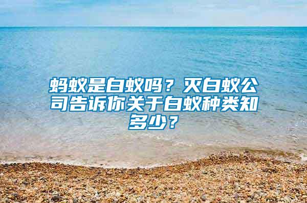 螞蟻是白蟻嗎？滅白蟻公司告訴你關于白蟻種類知多少？