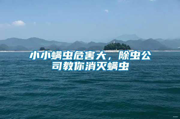 小小螨蟲(chóng)危害大，除蟲(chóng)公司教你消滅螨蟲(chóng)