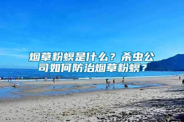 煙草粉螟是什么？殺蟲公司如何防治煙草粉螟？
