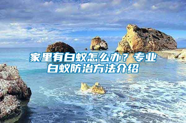 家里有白蟻怎么辦？專業(yè)白蟻防治方法介紹