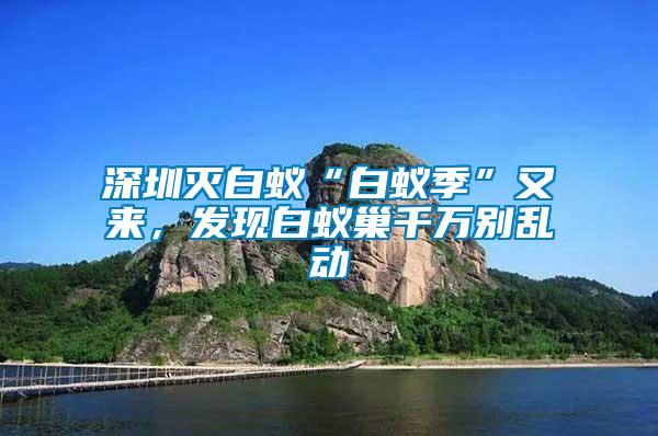 深圳滅白蟻“白蟻季”又來(lái)，發(fā)現(xiàn)白蟻巢千萬(wàn)別亂動(dòng)