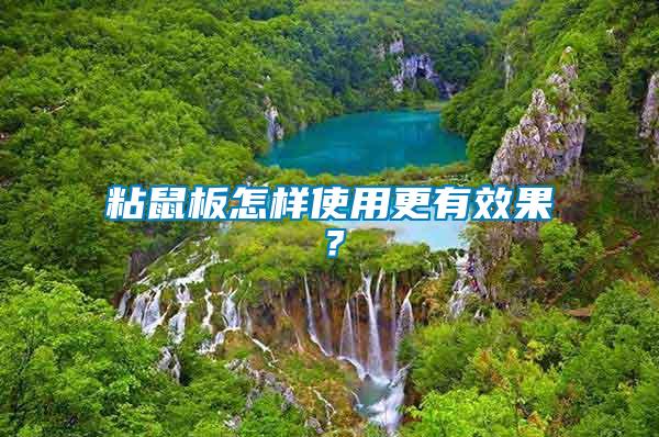 粘鼠板怎樣使用更有效果？
