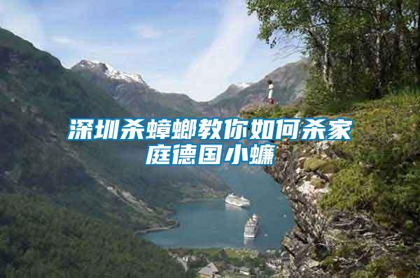深圳殺蟑螂教你如何殺家庭德國(guó)小蠊