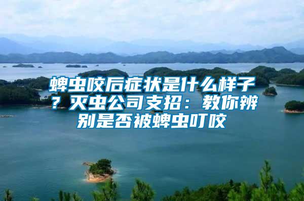 蜱蟲咬后癥狀是什么樣子？滅蟲公司支招：教你辨別是否被蜱蟲叮咬