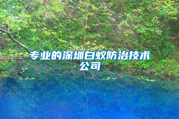 專(zhuān)業(yè)的深圳白蟻防治技術(shù)公司