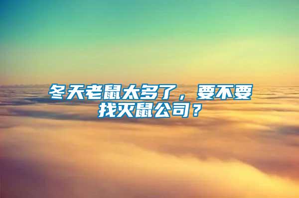 冬天老鼠太多了，要不要找滅鼠公司？