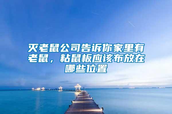 滅老鼠公司告訴你家里有老鼠，粘鼠板應(yīng)該布放在哪些位置