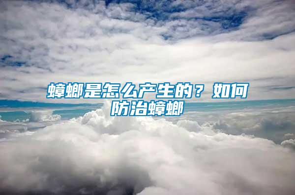 蟑螂是怎么產生的？如何防治蟑螂