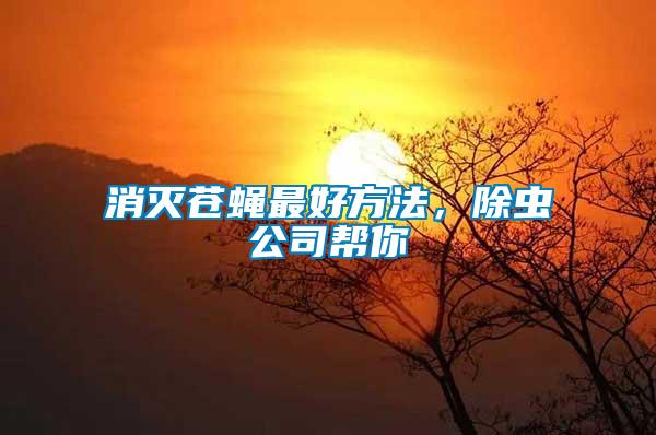 消滅蒼蠅最好方法，除蟲公司幫你