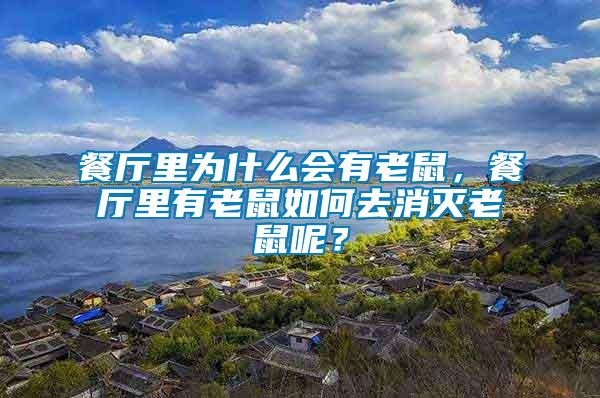 餐廳里為什么會(huì)有老鼠，餐廳里有老鼠如何去消滅老鼠呢？