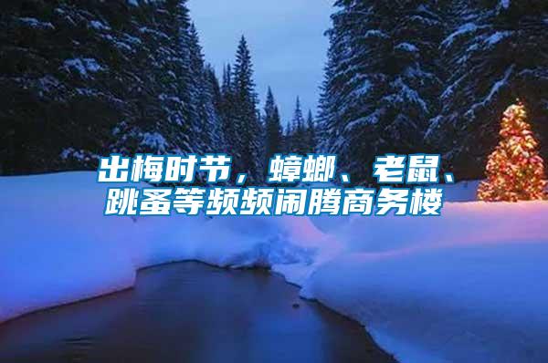 出梅時(shí)節(jié)，蟑螂、老鼠、跳蚤等頻頻鬧騰商務(wù)樓
