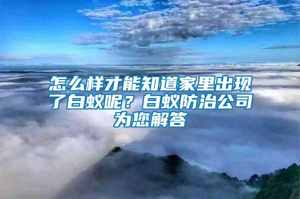怎么樣才能知道家里出現了白蟻呢？白蟻防治公司為您解答