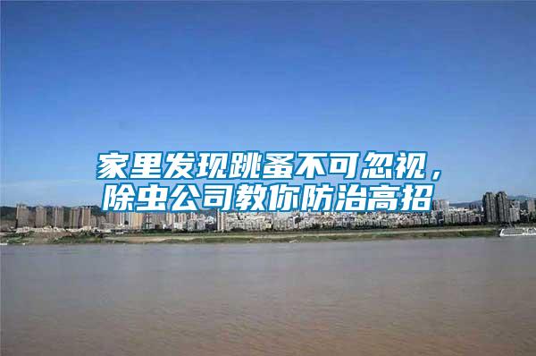家里發現跳蚤不可忽視，除蟲公司教你防治高招