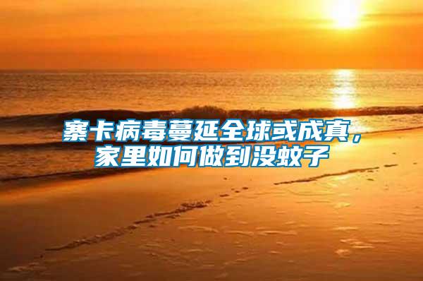 寨卡病毒蔓延全球或成真，家里如何做到沒蚊子