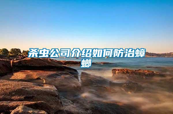 殺蟲(chóng)公司介紹如何防治蟑螂