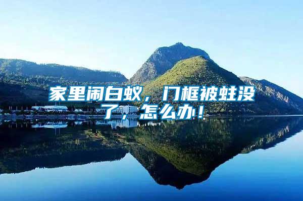 家里鬧白蟻，門框被蛀沒了，怎么辦！