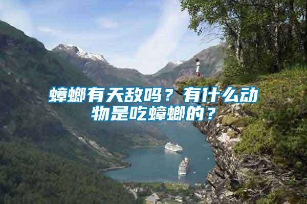 蟑螂有天敵嗎？有什么動(dòng)物是吃蟑螂的？