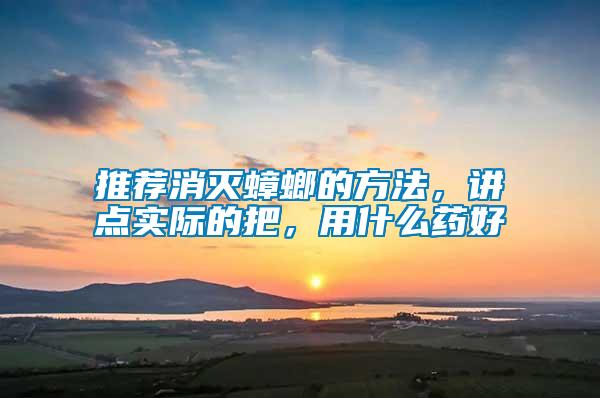 推薦消滅蟑螂的方法，講點(diǎn)實(shí)際的把，用什么藥好