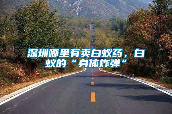 深圳哪里有賣白蟻藥，白蟻的“身體炸彈”