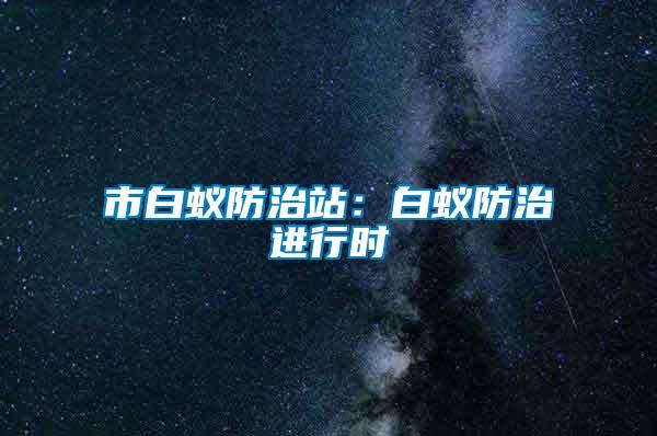 市白蟻防治站：白蟻防治進(jìn)行時